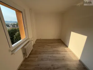 Prodej bytu 2+1, Bílina - Pražské Předměstí, Aléská, 48 m2