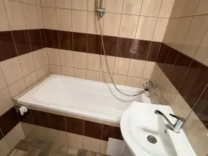 Prodej bytu 2+1, Bílina - Pražské Předměstí, Aléská, 48 m2