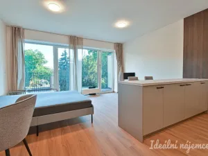Pronájem bytu 1+kk, Brno, Hybešova, 46 m2