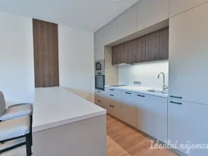 Pronájem bytu 1+kk, Brno, Hybešova, 39 m2