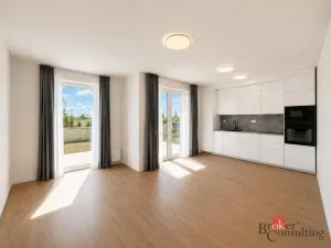 Pronájem bytu 1+kk, Plzeň - Jižní Předměstí, Železná, 35 m2