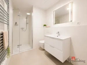 Pronájem bytu 1+kk, Plzeň - Jižní Předměstí, Železná, 35 m2