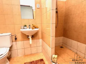 Pronájem bytu 1+kk, Olomouc - Hodolany, Březinova, 45 m2
