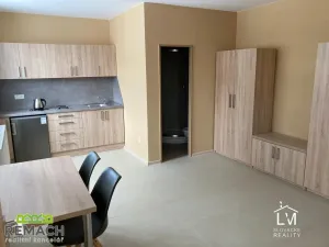 Pronájem bytu 1+1, Zlechov, 32 m2
