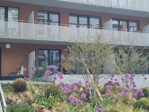 Pronájem bytu 2+kk, Praha, Gerstelova, 52 m2