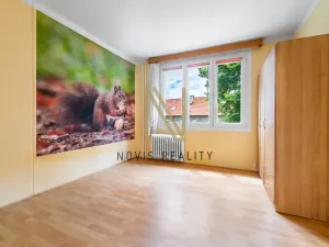 Pronájem bytu 3+1, Bor, Borská, 60 m2