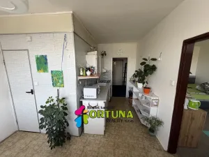 Prodej bytu 2+1, České Budějovice - České Budějovice 2, Emy Destinové, 61 m2