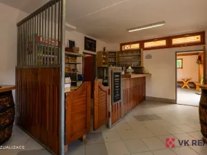 Prodej komerční nemovitosti, Praha - Bubeneč, Císařský ostrov, 3100 m2