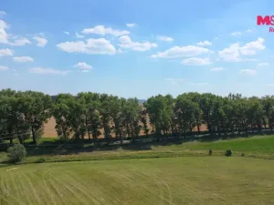 Prodej louky, Boudy, 360 m2