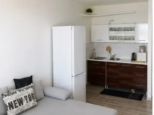 Prodej bytu 1+kk, Ostrava - Výškovice, Výškovická, 33 m2