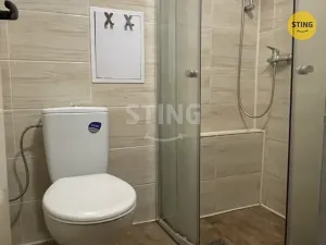 Pronájem bytu 1+kk, Ostrava, Krakovská, 20 m2