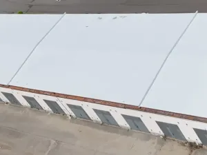 Prodej skladu, Bělá pod Bezdězem, Vazačka, 1300 m2
