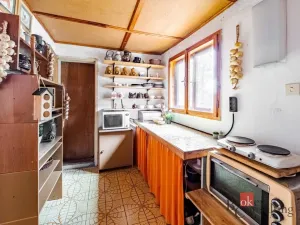 Prodej chaty, Týn nad Vltavou - Hněvkovice na levém břehu Vltavy, 80 m2
