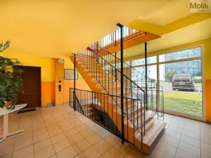Prodej bytu 3+1, Osek, Hrdlovská, 55 m2