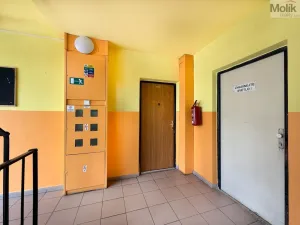 Prodej bytu 3+1, Osek, Hrdlovská, 55 m2