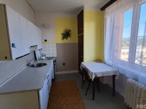 Prodej bytu 2+1, Ústí nad Labem, SNP, 50 m2