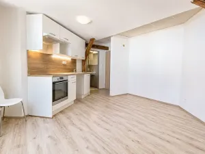 Pronájem bytu 1+kk, Brno, Kounicova, 26 m2