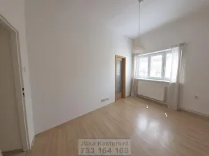 Prodej bytu 4+1, Opava - Předměstí, Na Nivě, 197 m2