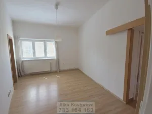 Prodej bytu 4+1, Opava - Předměstí, Na Nivě, 197 m2