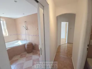 Prodej bytu 4+1, Opava - Předměstí, Na Nivě, 197 m2