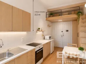 Prodej bytu 1+kk, Praha - Nusle, Soudní, 30 m2