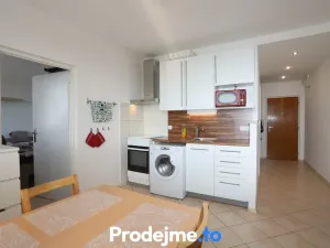 Pronájem bytu 1+1, Brno, Palackého třída, 33 m2