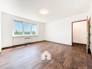 Prodej bytu 1+1, Tisá, 30 m2
