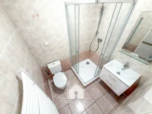 Prodej bytu 1+1, Tisá, 30 m2