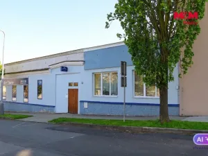 Prodej obchodního prostoru, Mělník, Krombholcova, 300 m2