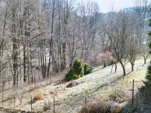 Prodej louky, Železný Brod, 4168 m2