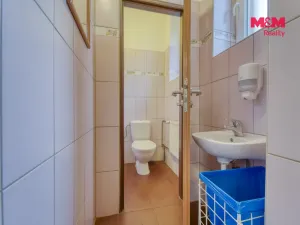 Pronájem obchodního prostoru, Plzeň - Lobzy, Petřínská, 88 m2