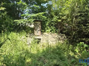 Prodej zahrady, Bělá pod Pradědem - Adolfovice, 950 m2