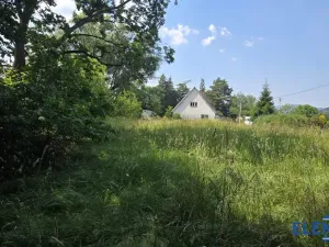 Prodej zahrady, Bělá pod Pradědem - Adolfovice, 950 m2