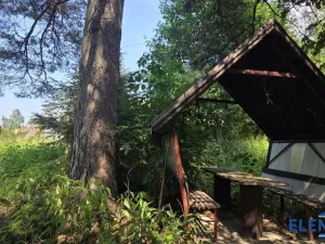 Prodej zahrady, Bělá pod Pradědem - Adolfovice, 950 m2