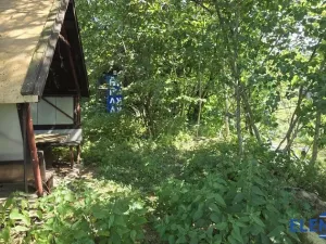 Prodej zahrady, Bělá pod Pradědem - Adolfovice, 950 m2