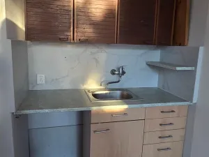 Pronájem bytu 1+kk, Brno, Halasovo náměstí, 24 m2