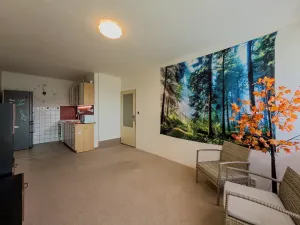Pronájem bytu 2+kk, Neratovice, Kojetická, 47 m2