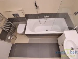 Pronájem bytu 4+kk, Praha - Nové Město, Lublaňská, 90 m2
