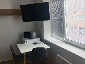 Pronájem bytu 1+kk, Přerov, 40 m2