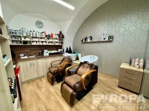 Pronájem obchodního prostoru, Plzeň - Vnitřní Město, Prešovská, 155 m2