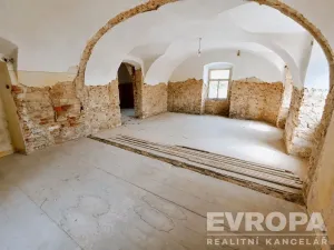 Prodej komerční nemovitosti, Uzeničky - Černívsko, 631 m2