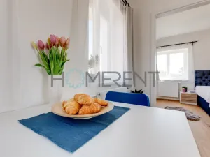 Pronájem bytu 2+kk, Praha - Libeň, Turnovská, 42 m2
