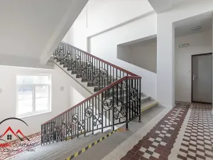 Pronájem bytu 1+kk, Ostrava, Palackého, 27 m2