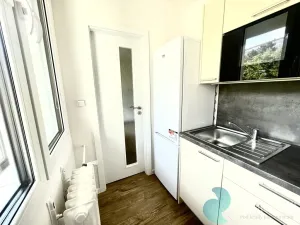 Pronájem bytu 1+kk, Praha, Sládkovičova, 26 m2
