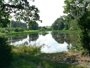Prodej chaty, Kocelovice, 90 m2
