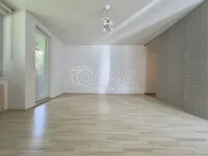 Pronájem bytu 1+kk, Brno - Lesná, Brožíkova, 36 m2