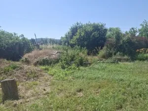 Prodej rodinného domu, Třeština, 150 m2