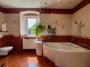 Prodej zemědělské usedlosti, Veliká Ves - Široké Třebčice, 100 m2