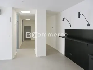 Pronájem kanceláře, Brno, Dominikánské náměstí, 380 m2