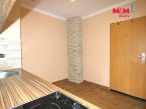 Pronájem bytu 1+kk, Ostrava - Moravská Ostrava, Petra Křičky, 30 m2